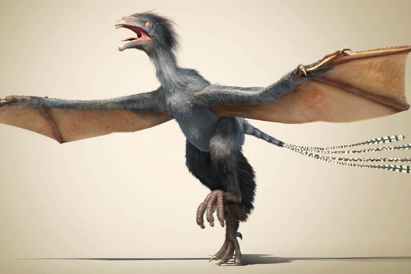 Ανακαλύφθηκε παράξενος, μικρός δεινόσαυρος με φτερά νυχτερίδας! - Media