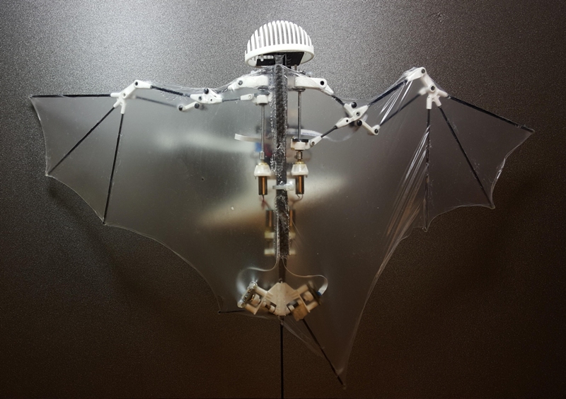 Δημιουργήθηκε το πρώτο ρομπότ-νυχτερίδα (Video) - Media