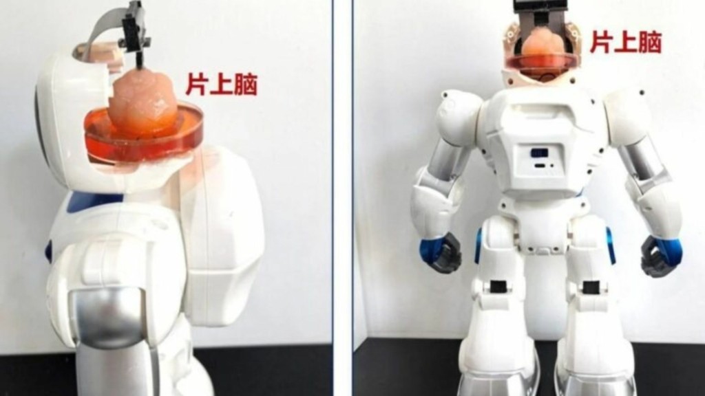 robot kina 98- new